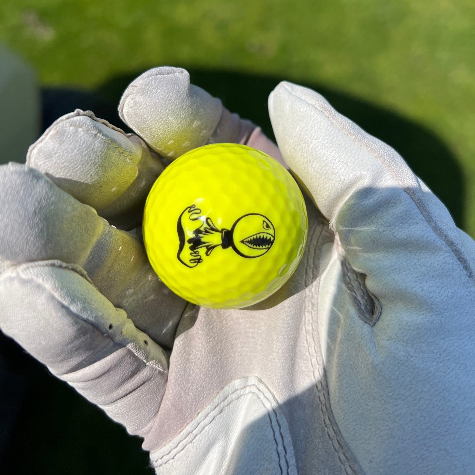 PISS MISSILE GOLF BALLS 12PK - Piss Missile Golf Balls