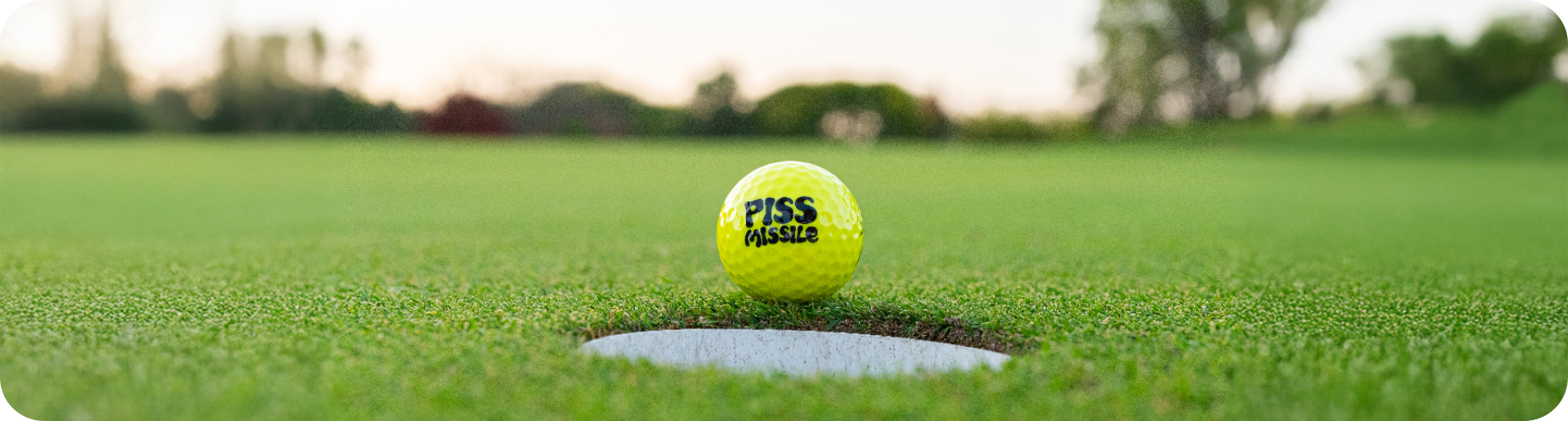 Golf Balls - Piss Missile Golf Balls
