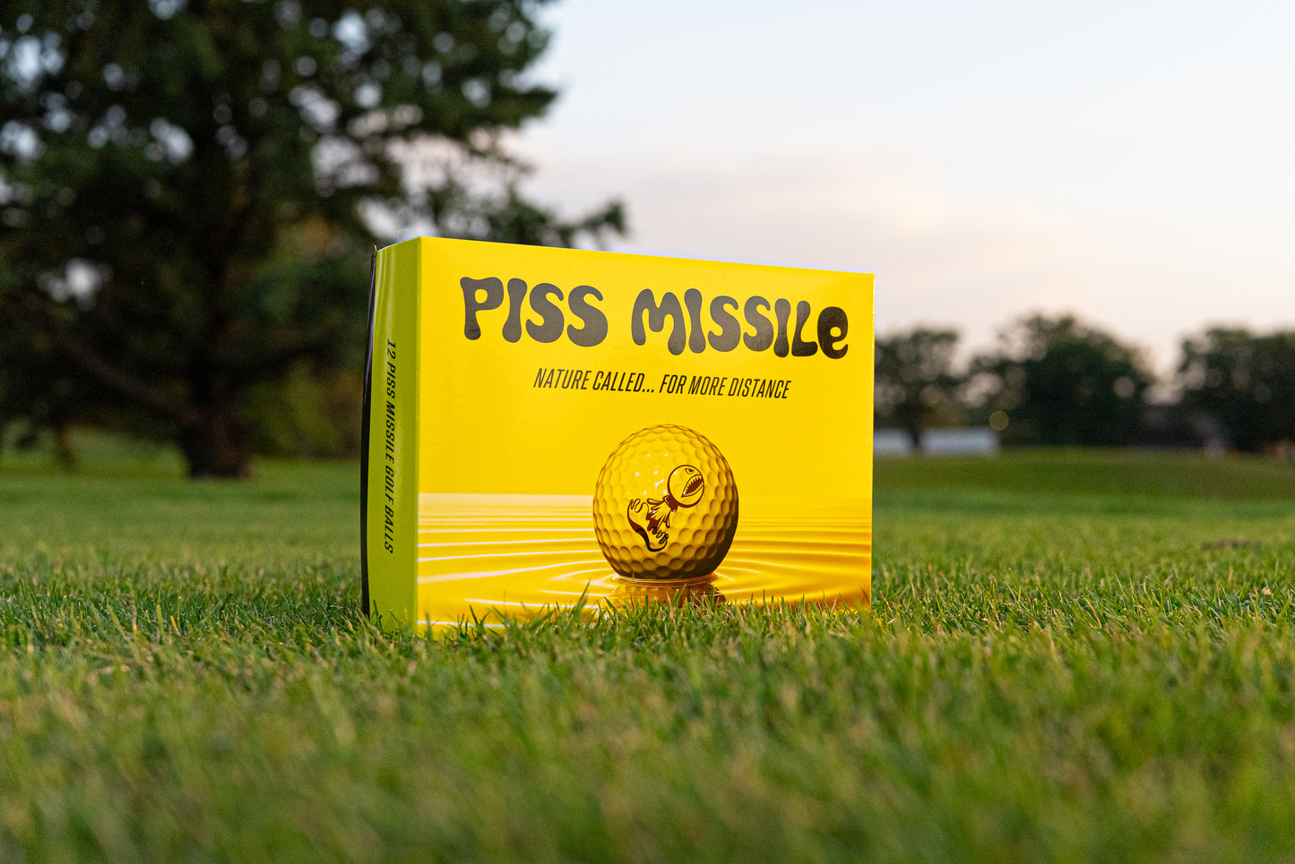 PISS MISSILE GOLF BALLS 12PK